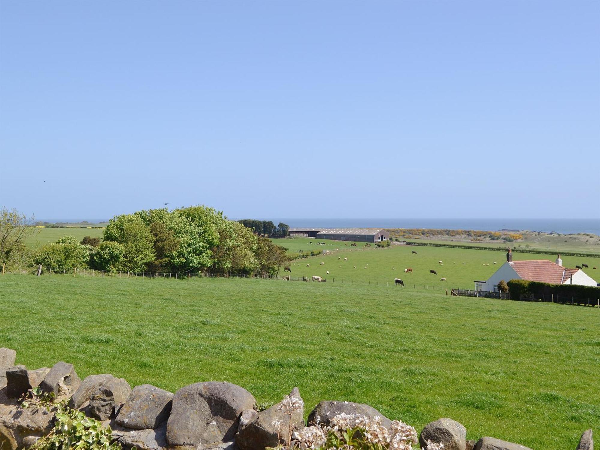 Eider Cottage Embleton  Εξωτερικό φωτογραφία